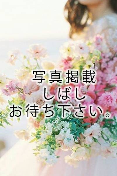 桜木 ののか（23）/KARADA ni PEACE(博多・中洲・天神/メンズエステ)
