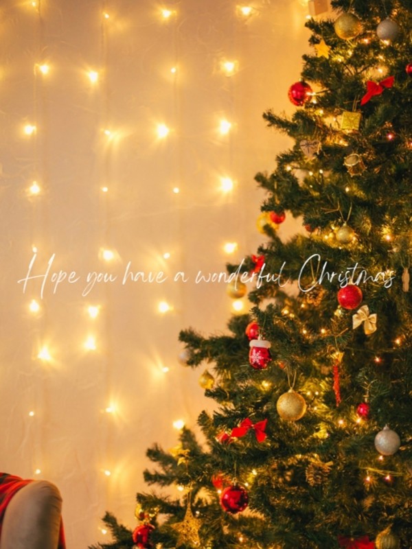 Christmas/IRIE SPA(アイリースパ)(池袋/メンズエステ)